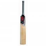 RS Robinson Recorder Kashmir Willow Cricket Bat (SH)